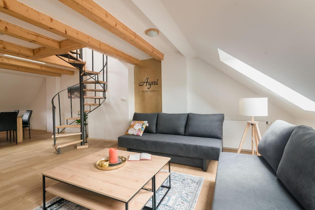 Ayni Apartman Semily Exterior photo
