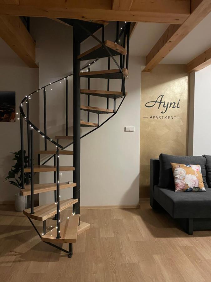 Ayni Apartman Semily Exterior photo